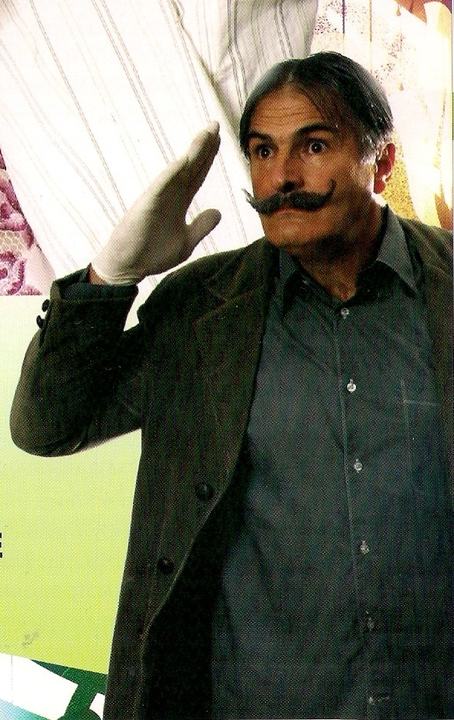 Vitamini, 2008. — Predrag Miletić kao Policajac